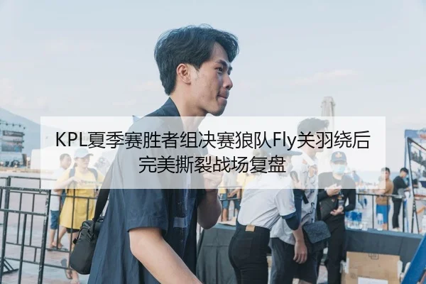KPL夏季赛胜者组决赛狼队Fly关羽绕后完美撕裂战场复盘