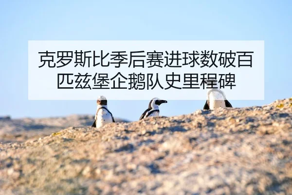 ke-luo-si-bi-ji-hou-sai-jin-qiu-shu-po-bai-pi-zi-bao-qi-e-dui-shi-li-cheng-bei-2-923.jpg