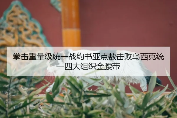 quan-ji-zhong-liang-ji-tong-yi-zhan-yue-shu-ya-dian-shu-ji-bai-wu-xi-ke-tong-yi-si-da-zu-zhi-jin-yao-dai-2-847.jpg
