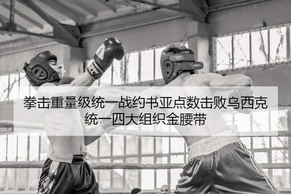 quan-ji-zhong-liang-ji-tong-yi-zhan-yue-shu-ya-dian-shu-ji-bai-wu-xi-ke-tong-yi-si-da-zu-zhi-jin-yao-dai-3-441.jpg