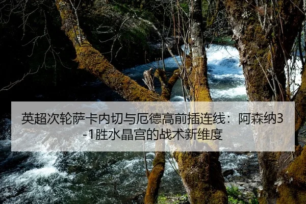 英超次轮萨卡内切与厄德高前插连线：阿森纳3-1胜水晶宫的战术新维度